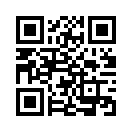 QR CODE 221