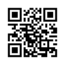 QR CODE 291