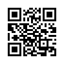 QR CODE 303