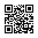 QR CODE 31
