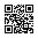 QR CODE 316
