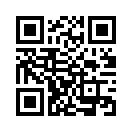 QR CODE 317