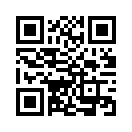 QR CODE 319