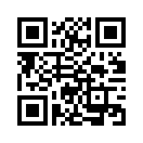 QR CODE 329