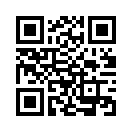 QR CODE 336
