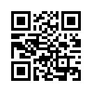 QR CODE 337
