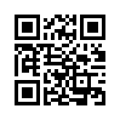 QR CODE 344