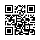QR CODE 394