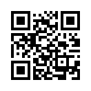 QR CODE 53