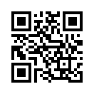 QR CODE 309
