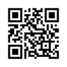 QR CODE 329