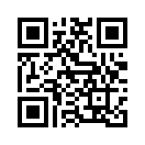 QR CODE 336