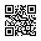 QR CODE 511
