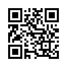 QR CODE 516