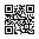 QR CODE 519