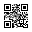 QR CODE 521