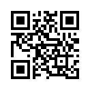 QR CODE 529