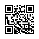 QR CODE 42