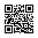 QR CODE 53