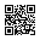 QR CODE 316