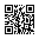QR CODE 46