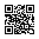 QR CODE 31
