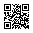 QR CODE 133