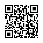 QR CODE 2393