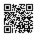 QR CODE 2461