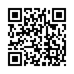 QR CODE 2810