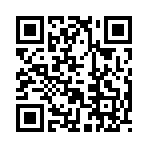 QR CODE 2919