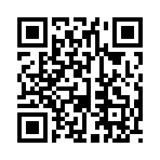 QR CODE 2958