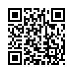 QR CODE 3010