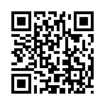 QR CODE 3133