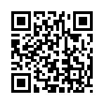 QR CODE 3194
