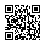 QR CODE 3228