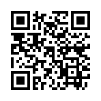 QR CODE 3239