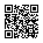 QR CODE 3299