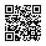 QR CODE 3306
