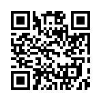 QR CODE 3329