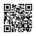 QR CODE 3386