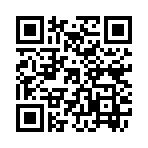 QR CODE 3481