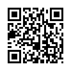 QR CODE 3838