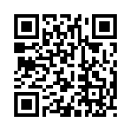 QR CODE 3843