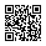 QR CODE 3934