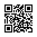 QR CODE 42