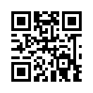 QR CODE 53