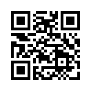 QR CODE 31