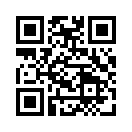QR CODE 42