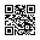 QR CODE 53